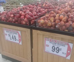US prices for fruits for 1 pound, Necarines and peaches 