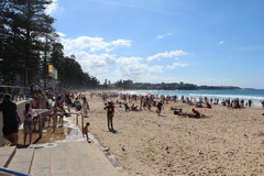 What to visit in Sydney, Manly Beach