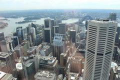What to see in Sydney, Sydney Center from the TV tower