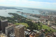 Что посмотреть в Сиднее, Вид на залив с телебашни