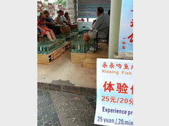 Entertainment in China in Guilin, Fish SPA