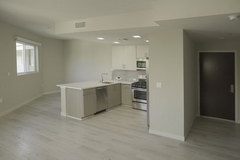 Rental housing in the USA, The kitchen is usually combined with the hall 