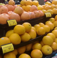 US prices for fruits for 1 pound, Oranges 