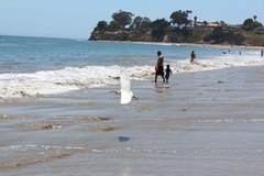 Santa Barbara, City beach 