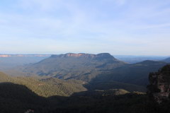 Excursions from Sydney, Blue haze is the evaporation of eucalyptus trees