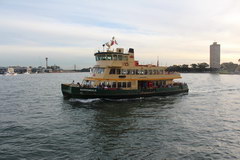 Transport Australia, Sydney Ferries