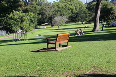 Sights of Sydney, Wentworth Park