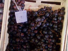 Food prices in Bosnia and Herzegovina, Prices of grapes