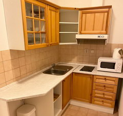 Apartments for rent in Prague in the Czech Republic, Kitchen
