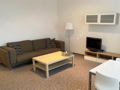 Apartments for rent in Prague in the Czech Republic, More living room
