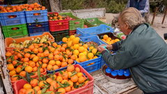 Food prices in Cyprus, Fruits on the market