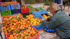 Цены на продукты на Кипре, Фрукты на рынке