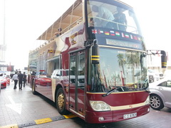 Activities in Dubai, sightseeing bus