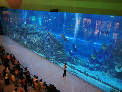 Attractions in Dubai, Dubai Aquarium, free view