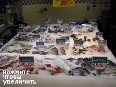 Цены на рыбу в Дубае, Рыба