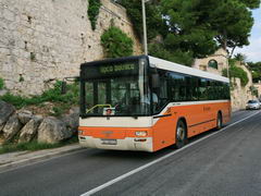 Транспорт в Дубровнике (Хорватия), Городской автобус