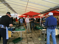 Food prices in Trogir (Croatia), Fish Market