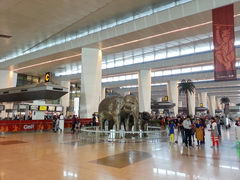 Delhi Airport, Indira Gandhi International Airport