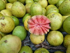 prices of fruits in India, Red guava