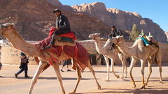 What to see and Jordan, Camels to cross the empty