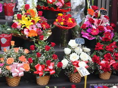 Prices for souvenirs in Barcelona, Flowers on the Rambla