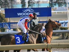 Canada, Toronto, Racetrack