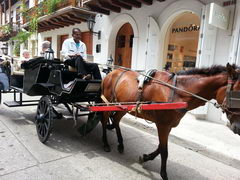 Entertainment in Cartagena, Carriage excursion prices