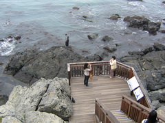 Пусан, Южная Корея, На пляже Haeundae Beach, Тропинки для прогулок вдоль скалистого берега