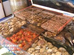 Рыбный рынок Пусана, Южная Корея, Живые морепродукты