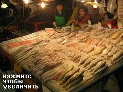 Рыба на рынке в Пусане, Южная Корея, Выбор рыбы огромный