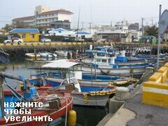 Рыболовные шхуны,Чеджу, Южная Корея, Могут организовать рыбалку