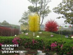 Южная Корея, Стеклянный сад на Чеджу