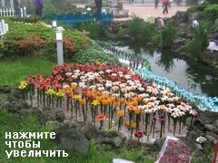 Остров Чеджу, Южная Корея, цветы в клумбах тоже стекляные