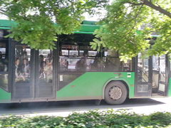 Транспорт в Киргизии, Городской автобус в Бишкеке
