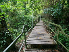 Malaysia, Kota Kinabalu, Signal Hill Trail, Wooden path