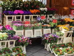 Цены на сувениры в Швеции в Стокгольме, Цветы