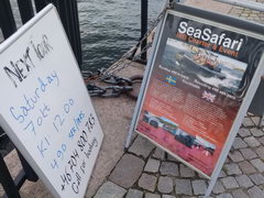 Цены на развлечения в Стокгольме, катание на скоростном катере