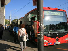 Городской транспорт в Братиславе, Городской автобус в Братиславе