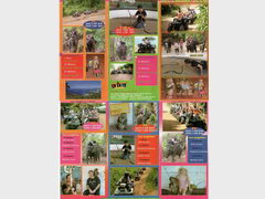 ATV safari in Phuket (Thailand), AVT ride and safari