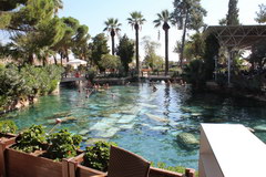 Excursions in Turkey, Cleopatra's swimming pool in Pamukkale