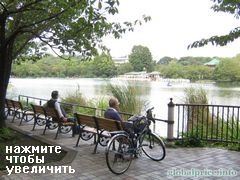 Очень милый пруд, Очень милый пруд